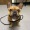 a dog sitting down wearing a leash and smiling