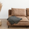 couch near plant